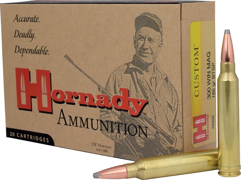 BOITE DE 20 CARTOUCHES HORNADY 300 WIN MAG 165 GR BTSP 8202