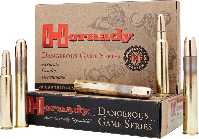 BOITE DE 20 CARTOUCHES HORNADY 458 LOTT 500 GR DGS 8262