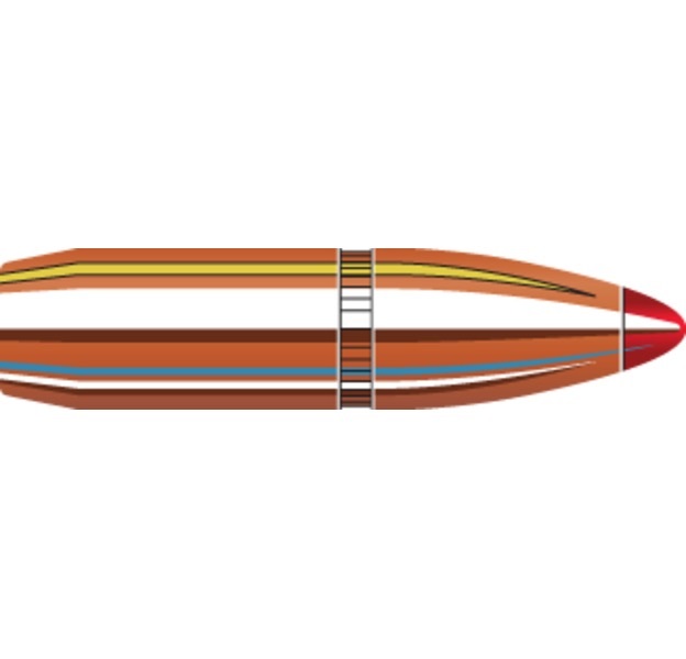 BOITE DE 100 OGIVES HORNADY 25 CAL 257 110GR FTX 2542