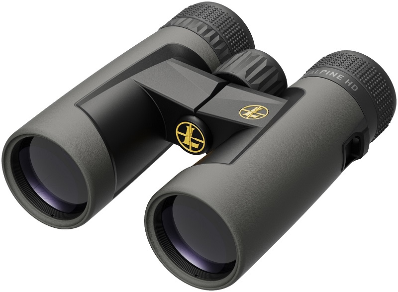 JUMELLES LEUPOLD BX-2 ALPINE HD 10x42mm ROOF SHADOW GRAY 181177