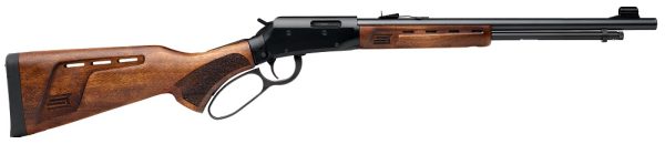 CARABINE SAVAGE REVEL DLX CAL.22LR FILETEE 46022+