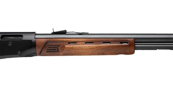 CARABINE SAVAGE REVEL DLX CAL.22LR FILETEE 46022+